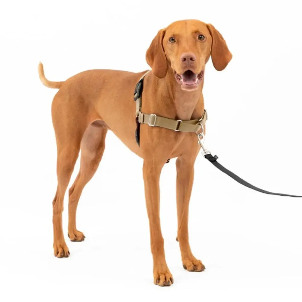 PetSafe Easy Walk No Pull Harness Dog Walk Size Medium 25-50lbs Black Silver New
